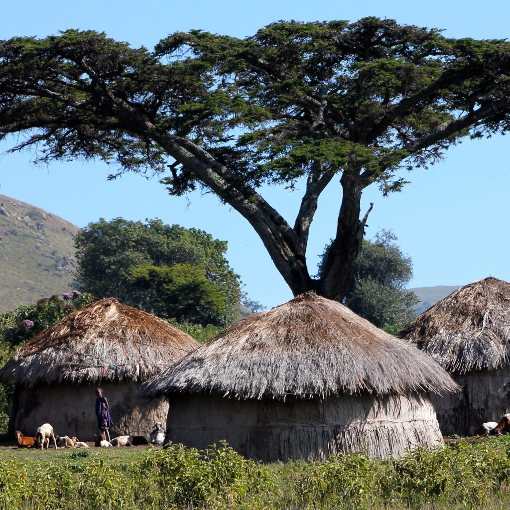 Maasai 7